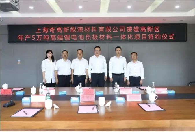 奇高新能源,负极材料,锂电池