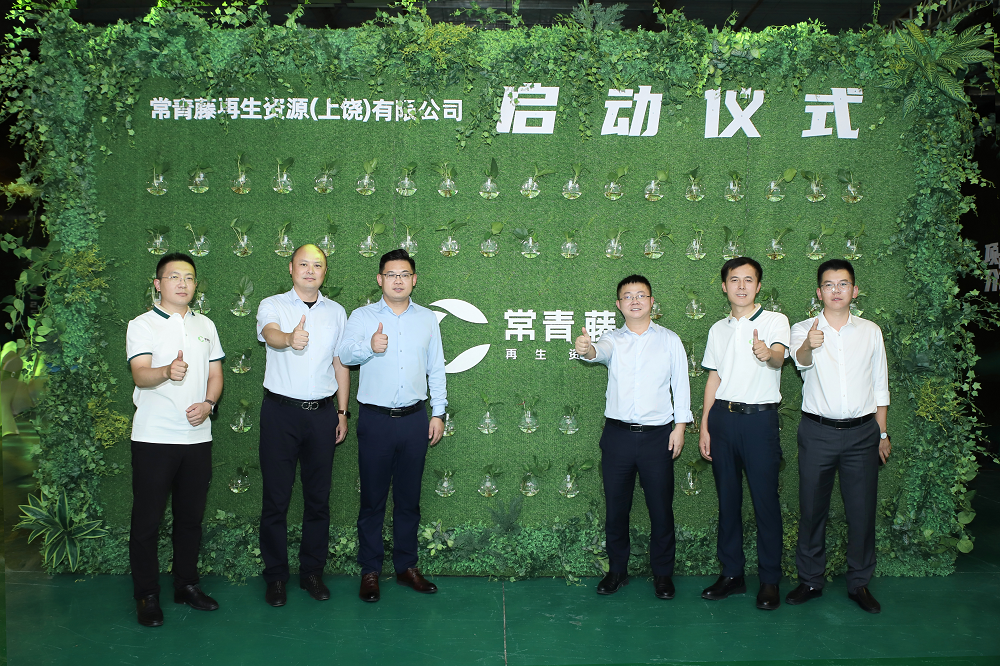 蜂巢能源