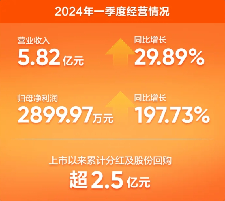 华宝新能：2024年一季度营收净利润双增长，展现强劲复苏势头