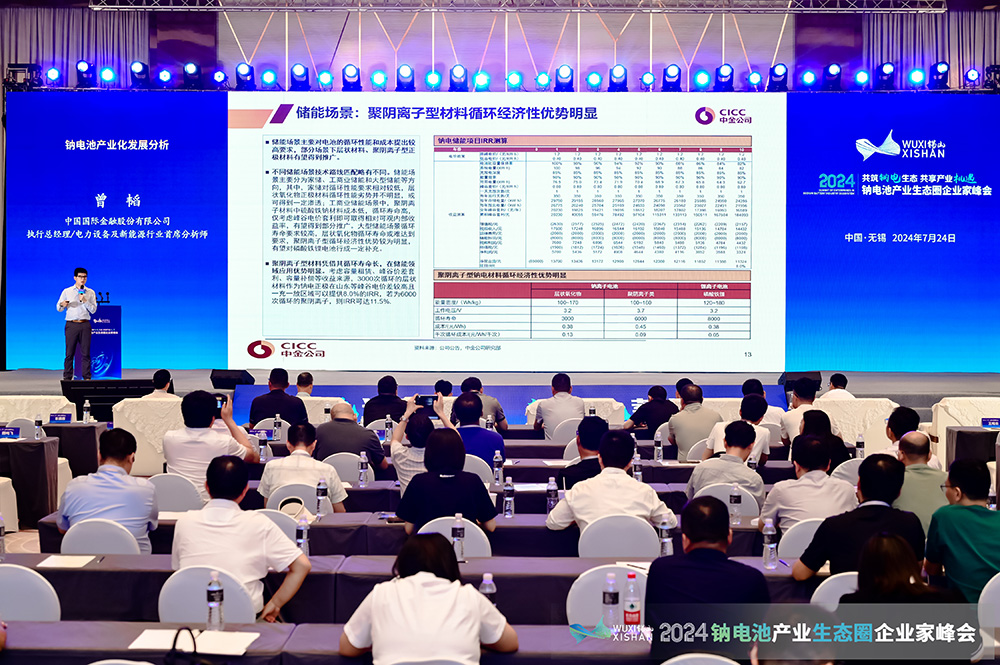 2024中国（无锡）钠电池产业生态圈企业家峰会现场