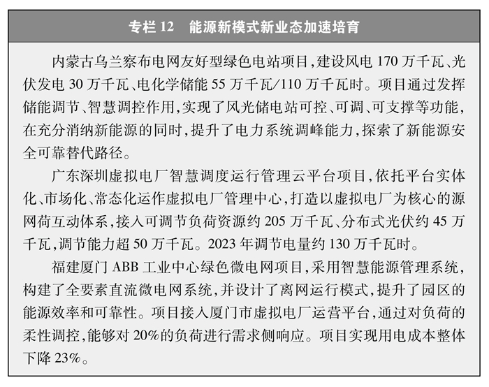 培育能源新业态新模式