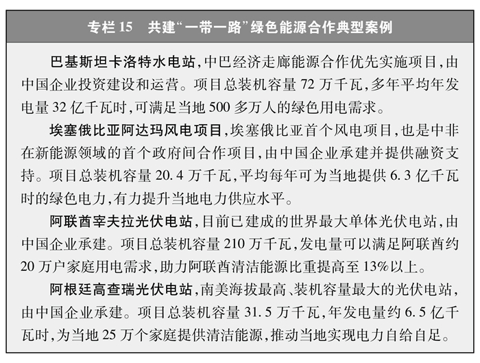 持续推动“一带一路”绿色能源合作