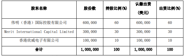 高冰镍项目公司股权结构及出资比例