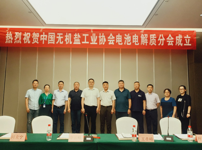 中国无机盐工业协会电池电解质分会正式成立