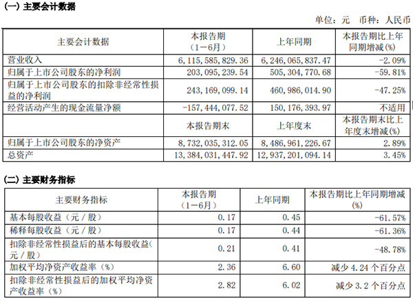 骆驼股份