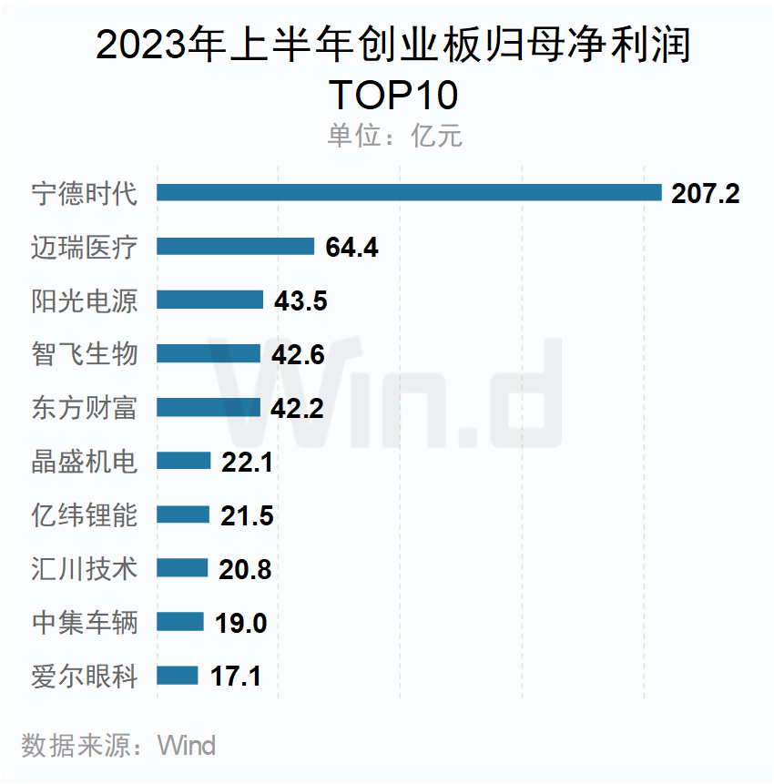 2023年上半年创业板归母净利润TOP10企业
