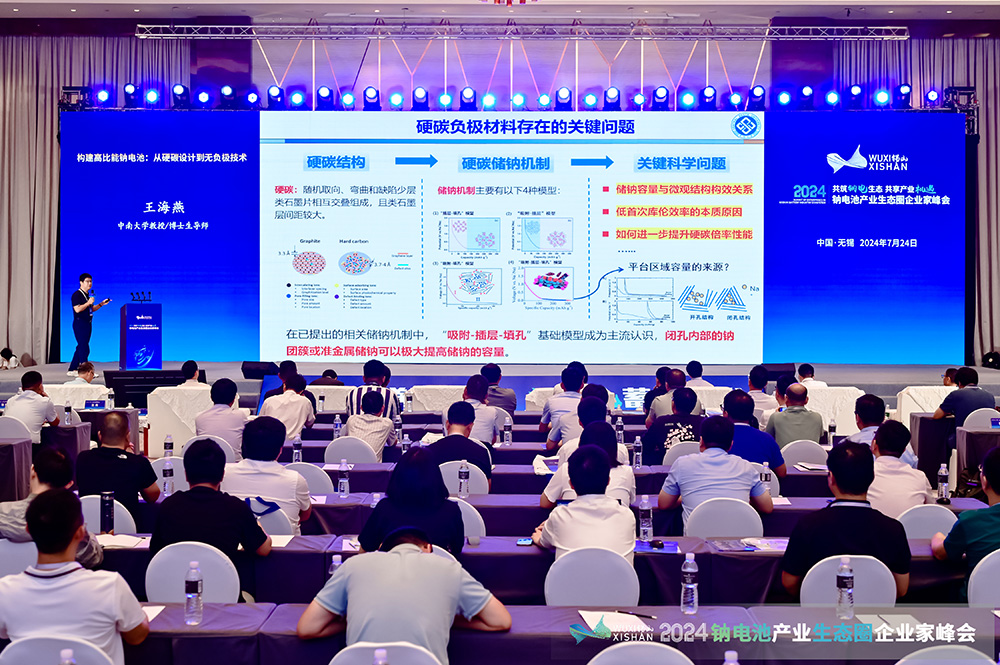 2024中国（无锡）钠电池产业生态圈企业家峰会现场