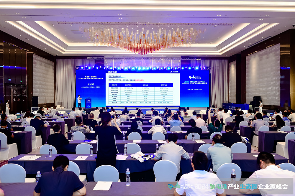  2024中国（无锡）钠电池产业生态圈企业家峰会现场