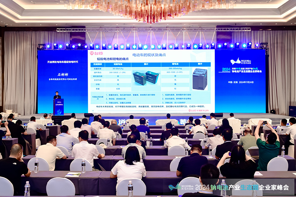 2024中国（无锡）钠电池产业生态圈企业家峰会现场