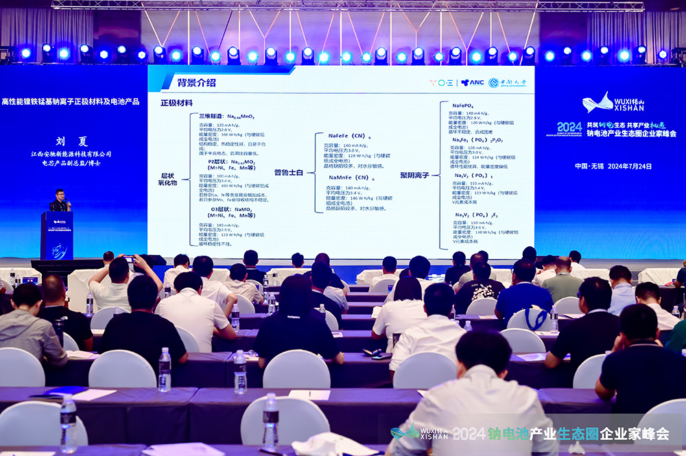 2024中国（无锡）钠电池产业生态圈企业家峰会现场