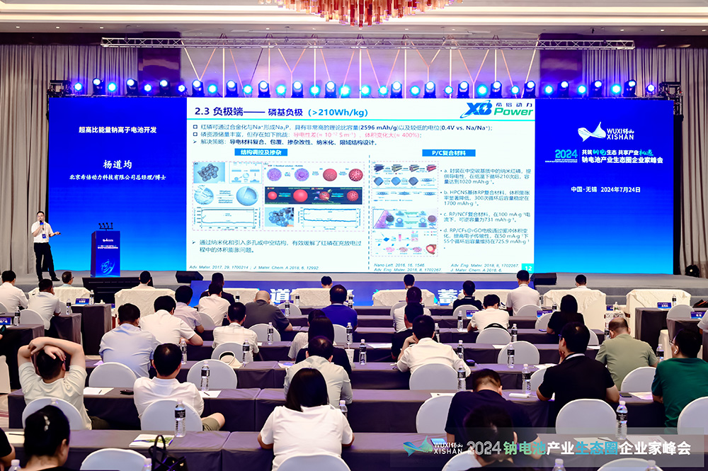 2024中国（无锡）钠电池产业生态圈企业家峰会现场 