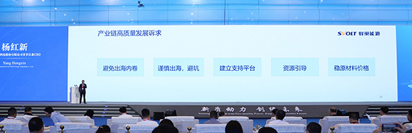 短刀电池,锂电池,杨红新