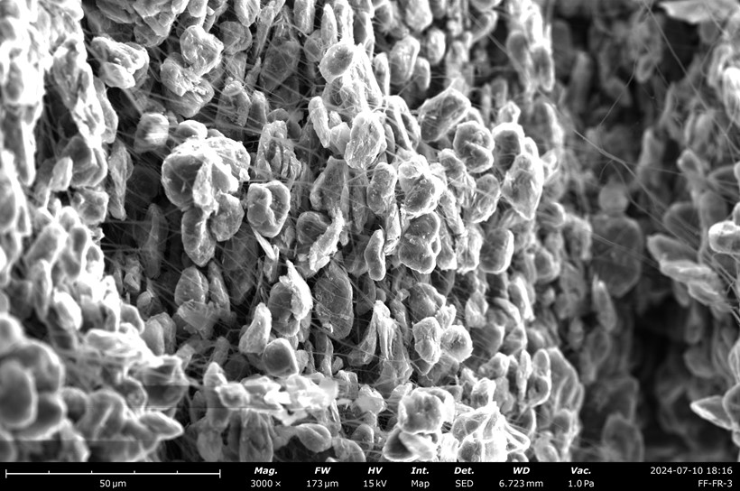 811NCM正极2%PTFE含量自支撑膜截面SEM.jpg