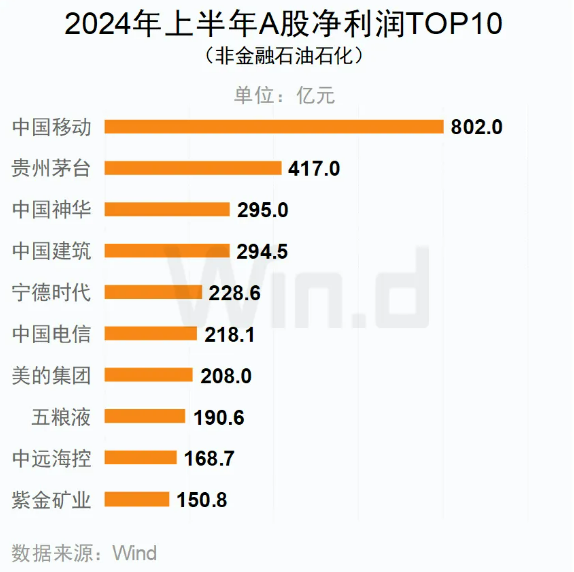 2024年上半年A股净利润TOP10（非金融石油石化）