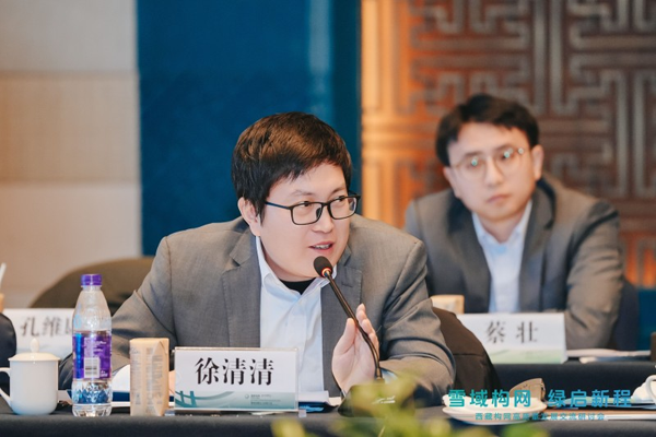 阳光电源光储集团副总裁徐清清