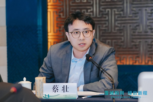 阳光电源光储集团蔡壮博士