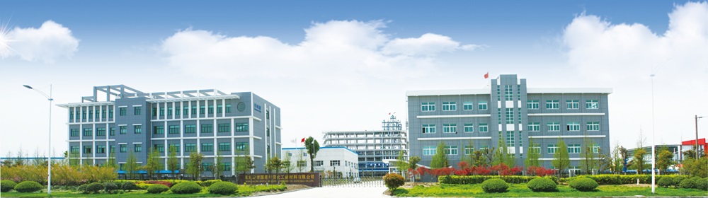 图源：国泰华荣