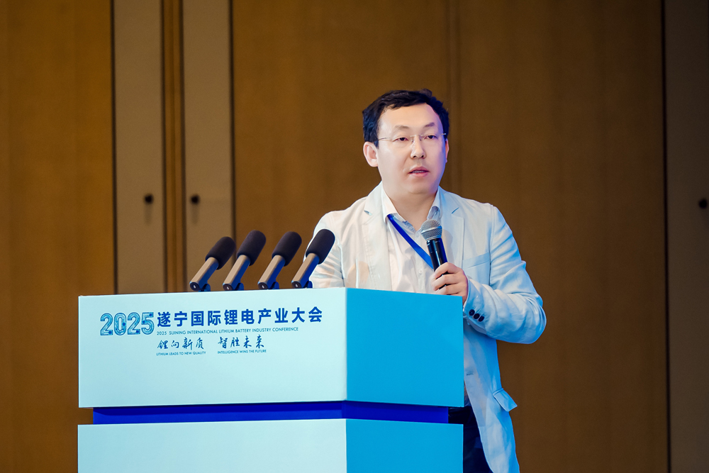 俄罗斯工程院院士、乌克兰工程院院士、安徽大学大数据学院执行院长 金虎林