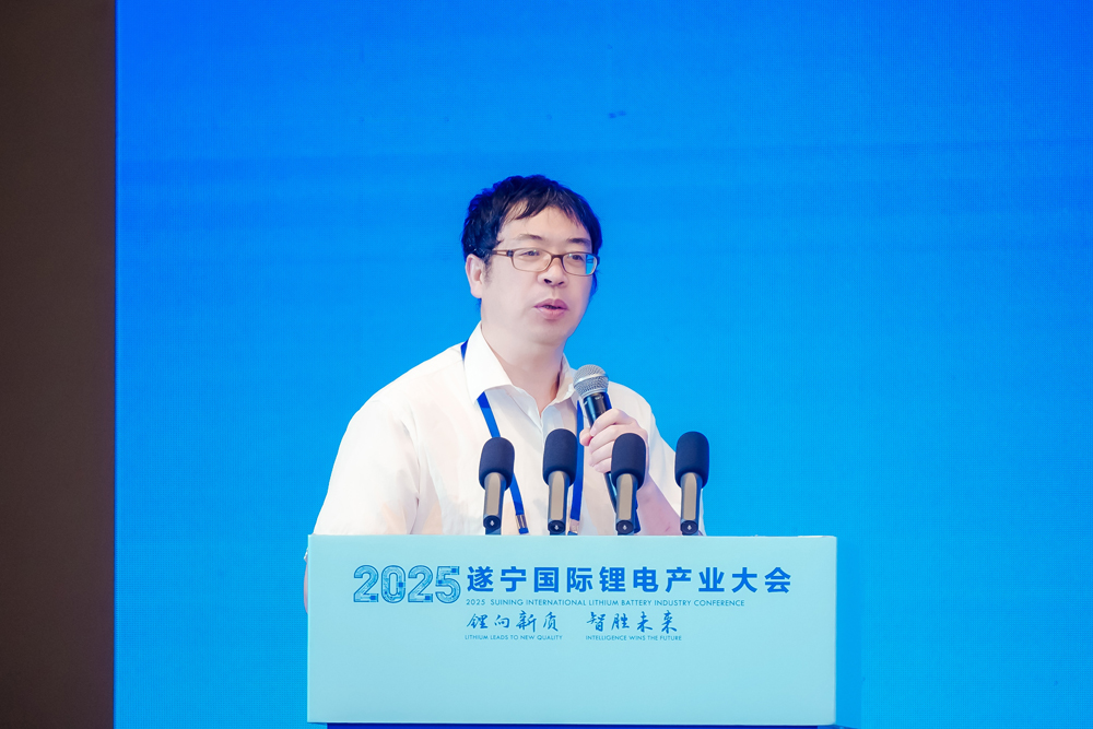 吴宇平：储能才真正起步 破解电池技术安全问题已十分迫切
