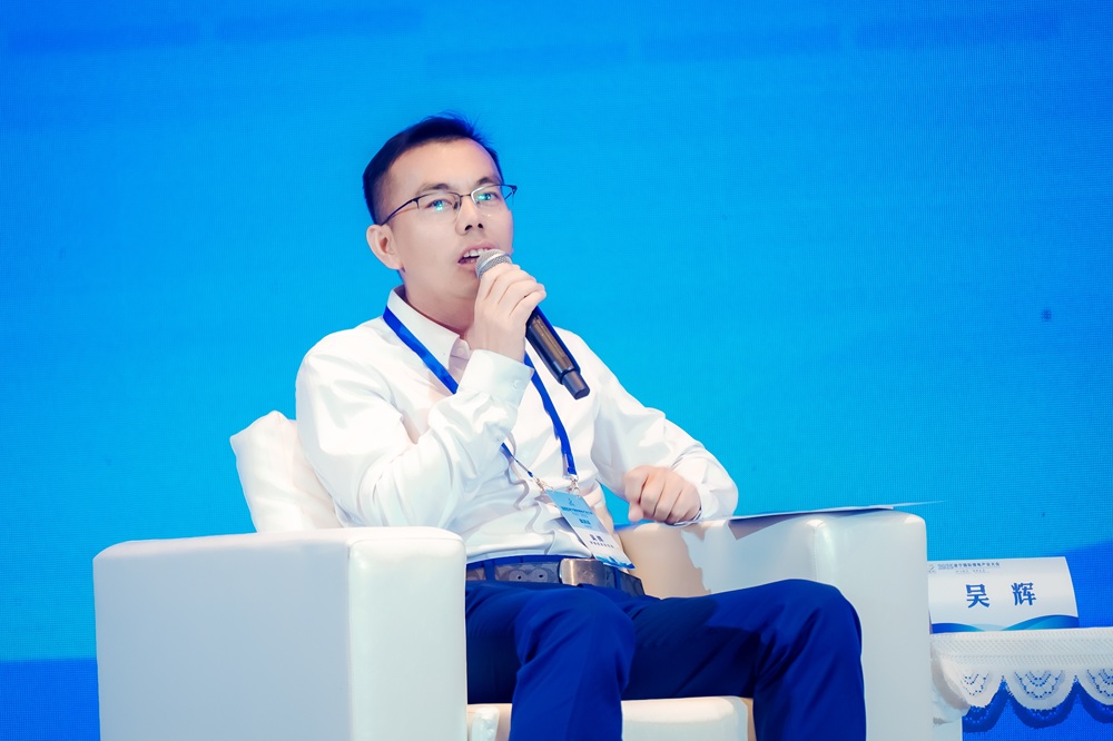 伊维经济研究院院长吴辉