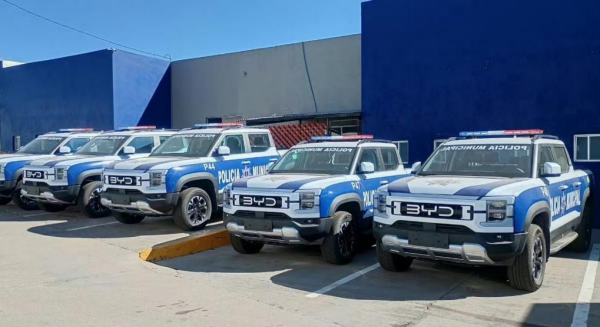 比亚迪喜提“国际编制” 海外公务车市场刮起中国风